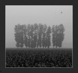 91摄影,捕捉光影之美，记录生活瞬间